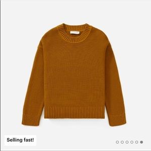 Everlane Link Stitch crew sweater
